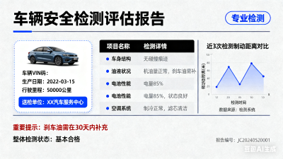 车辆检测报告样例预览